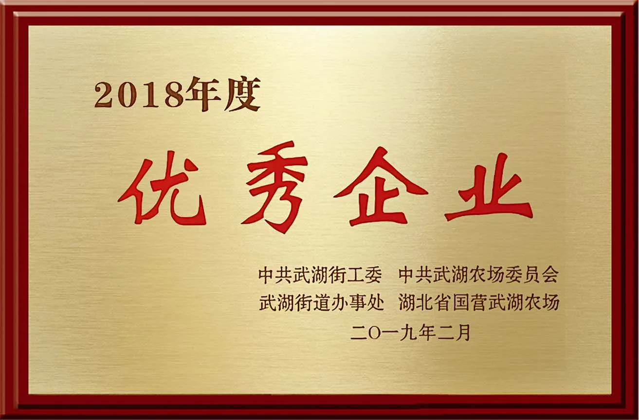 Historical Wuhan Jinteng company recognition plaque, archive view 7