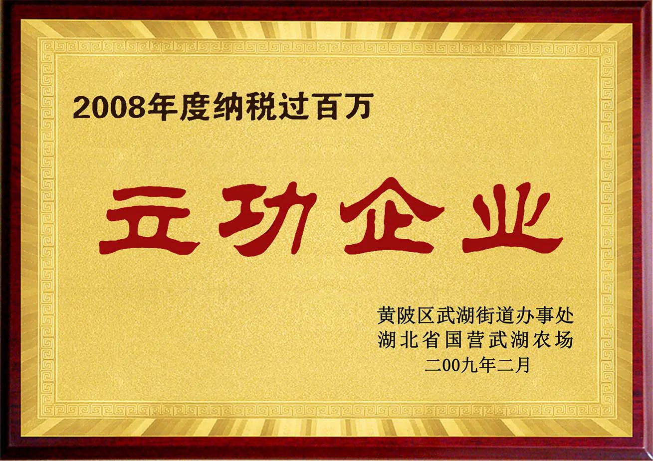 Historical Wuhan Jinteng company recognition plaque, archive view 5