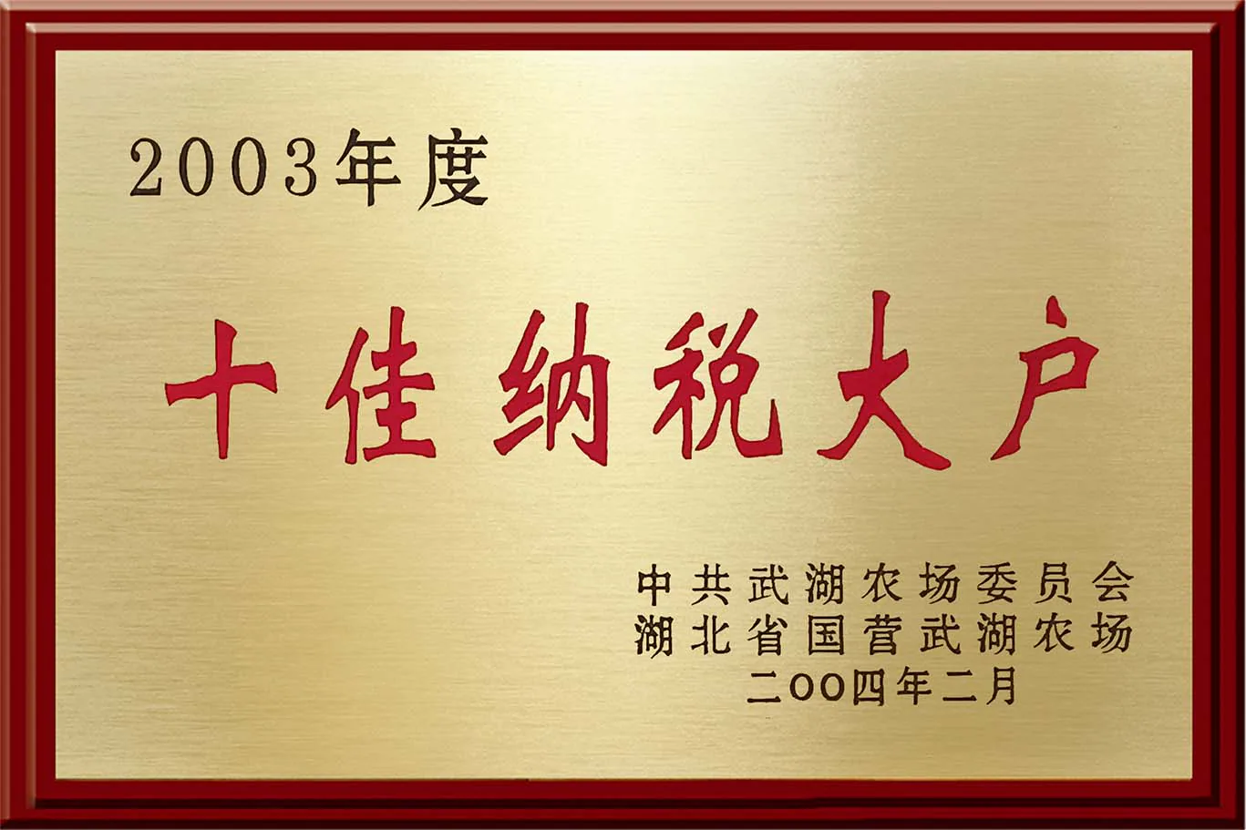 Historical Wuhan Jinteng company recognition plaque, archive view 6